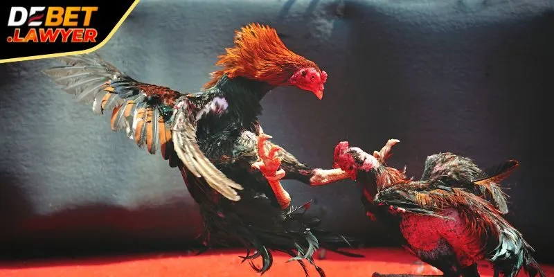 Chăm sóc khách hàng tận tâm